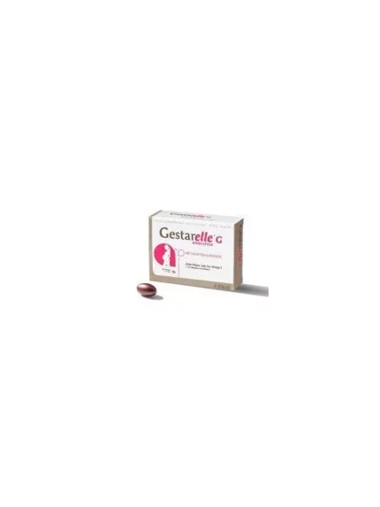 GESTARELLE G GROSSESSE, 30 CAPSULES