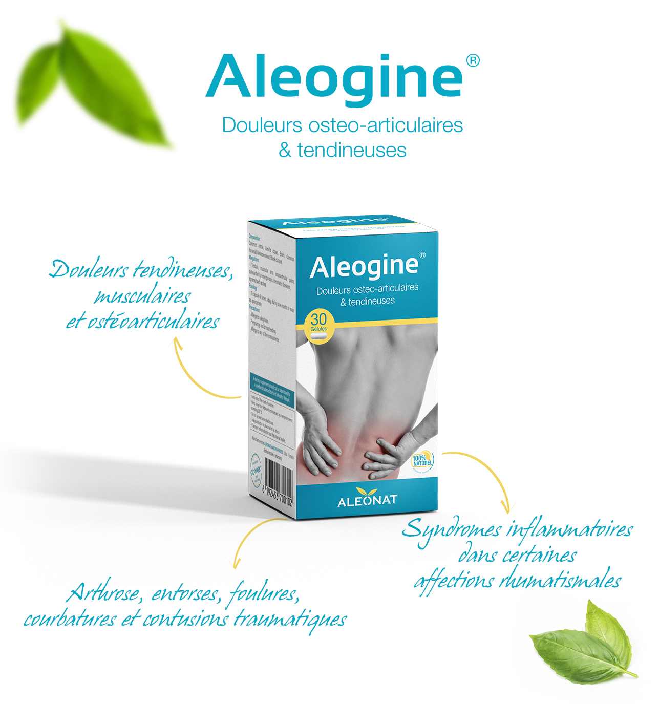 6010 Aleogine 30 Gélules – Image 1